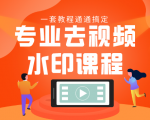 专业去视频水印教程 静态水印、动态水印、文字水印、图片水印一套教程通通搞定-网赚项目众筹网