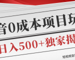 短视频变现套路剖析,抖音0成本赚钱项目玩法,日入500+独家揭秘(共2节视频)-网赚项目众筹网