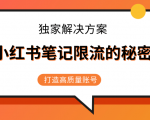 小红书笔记限流的秘密,被限流的笔记独家解决方案,打造高质量账号(共3节视频)-网赚项目众筹网