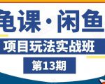 龟课·闲鱼项目玩法实战班第13期,轻松玩转闲鱼,多渠道多方法引流到私域流量池-网赚项目众筹网