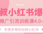 狼叔小红书爆款推广引流训练课4.0,手把手带你玩转小红书-网赚项目众筹网