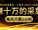 年赚十万的采集站,每天却只需要1小时,一年时间采集出一个售价10W以上的网站-网赚项目众筹网
