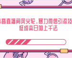 抖音直播间风火轮,暴力微信引流技术,低成本日加上千法-网赚项目众筹网