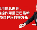 利用信息差异，零投资操作阿里巴巴最新管道项目轻松月赚10000+-网赚项目众筹网