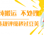 抖音纯搬运 不处理 小技巧，30秒发一个作品，避免违规评级秒过豆荚-网赚项目众筹网
