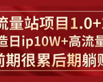 《大流量站项目1.0+2.0》打造日IP10W+高流量站,前期很累后期躺赚-网赚项目众筹网