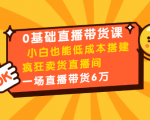 0基础直播带货课:小白也能低成本搭建疯狂卖货直播间:1场直播带货6万-网赚项目众筹网