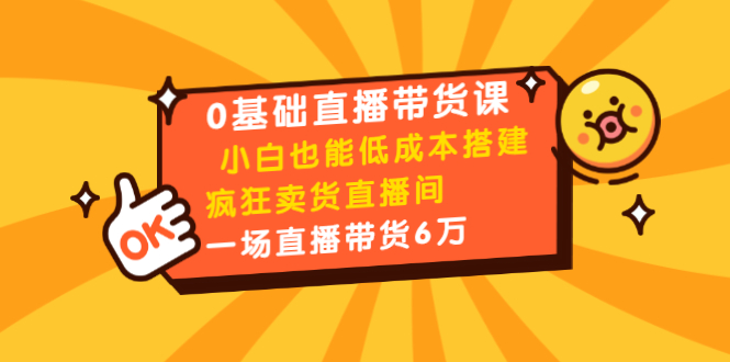 0基础直播带货课：小白也能低成本搭建疯狂卖货直播间：1场直播带货6万-网赚项目众筹网