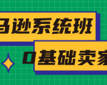 亚马逊系统班，专为0基础卖家量身打造，亚马逊运营流程与架构-网赚项目众筹网