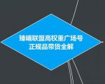 臻曦联盟抖音高权重广场号无人直播正规品带货全解-网赚项目众筹网