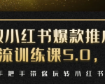 小红书爆款推广引流训练课5.0，手把手带你玩转小红书（17节实操视频+话术）-网赚项目众筹网