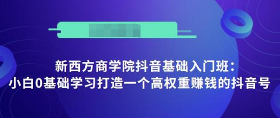 抖音基础入门班：小白0基础学习打造一个高权重赚钱的抖音号-网赚项目众筹网