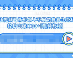 视频号新机制与不刷赞撸养生茶玩法,轻松日赚1000+-网赚项目众筹网