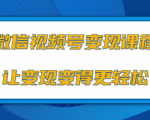 微信视频号变现项目,0粉丝冷启动项目和十三种变现方式-网赚项目众筹网