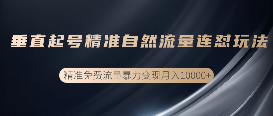 垂直起号精准自然流量连爆玩法，精准引流暴力变现月入10000+-网赚项目众筹网