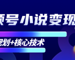 柚子微信视频号小说变现项目,全新玩法零基础也能月入10000+【核心技术】-网赚项目众筹网