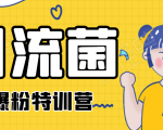 引流菌2020全网爆粉特训营(QQ群霸屏,知乎引流,群裂变,自动化引流等)-网赚项目众筹网