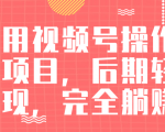 视频号操作书单变现项目,后期轻松变现,完全躺赚日入300至500元-网赚项目众筹网