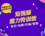 零基础小白进阶到大神《短视频魔力特训营》定位-运营-引流-变现-网赚项目众筹网