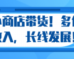 微信小商店带货，爆单多倍收入，长期复利循环！日赚300-800元不等-网赚项目众筹网