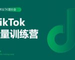 2020最新TikTok流量增长训练营(完结)附PPT-网赚项目众筹网