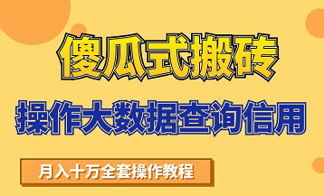 搬砖操作大数据查询信用项目赚钱教程，祝你快速月入6万-网赚项目众筹网