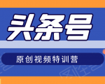 头条号原创视频特训营:一对一带你玩转短视频,新号10天日收益破252元-网赚项目众筹网
