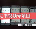 野路子小红书视频号1.0项目,直接上手操作就能赚钱的视频号项目-网赚项目众筹网