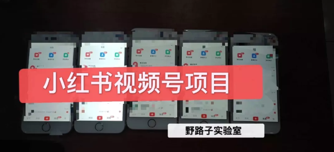 野路子小红书视频号1.0项目，直接上手操作就能赚钱的视频号项目-网赚项目众筹网