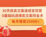 30天疯卖文案速成变现营,0基础玩透爆卖文案捞金术!每月增收20000+-网赚项目众筹网