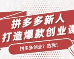 拼多多新人打造爆款创业课：快速引流持续出单，适用于所有新人-网赚项目众筹网