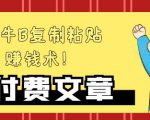 —牛B复制粘贴赚钱术!牛逼持久收入极品闷声发财项目,首发揭秘独此一家!-网赚项目众筹网