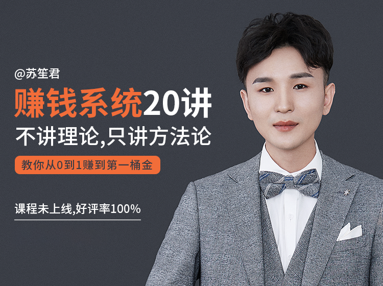 苏笙君的赚钱系统20课 教你从0到1赚到你的第一桶金（不讲理论，只讲方法论）-网赚项目众筹网