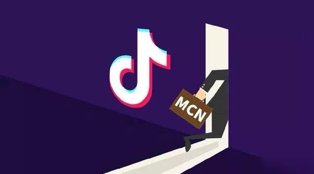 抖音MCN孵化课程，帮助商家拓客，帮助达人更好变现的课程，从0基础到超级IP-网赚项目众筹网