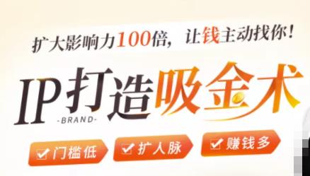 IP打造吸金术：0基础0资源，也能扩大影响力100倍，让钱主动找你！-网赚项目众筹网