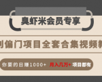 暴利偏门项目全套合集视频教程:你要的日赚1000+月入几万+项目都有-网赚项目众筹网