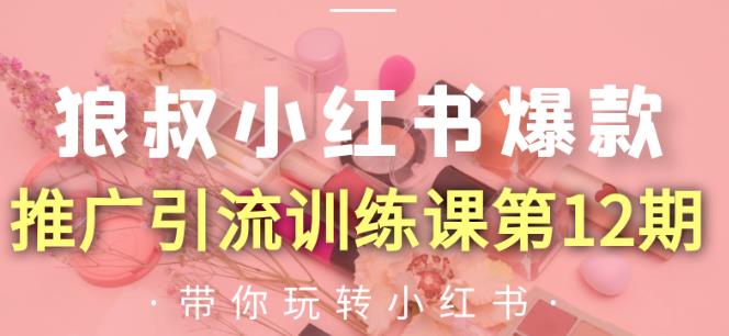 狼叔小红书爆款推广引流训练课第12期，手把手带你玩转小红书-网赚项目众筹网