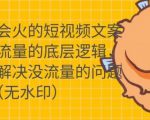 只说话就会火的短视频文案课,从根本上解决没流量的问题-网赚项目众筹网