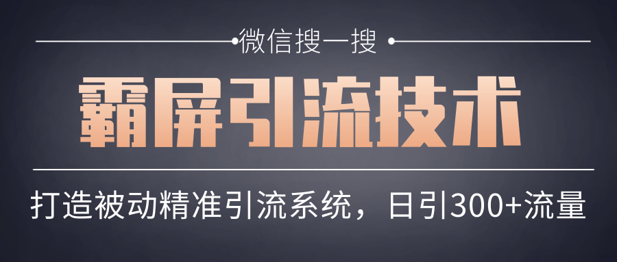 微信搜一搜霸屏引流技术，打造被动精准引流系统，轻松日引300+流量-网赚项目众筹网
