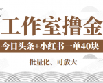工作室撸金二件套:撸今日头条原创收益+小红书一单利润40块项目-网赚项目众筹网