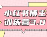 红商学院·小红书博主训练营3.0,实战操作轻松月入过万-网赚项目众筹网