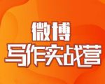 村西边老王·微博超级写作实战营,帮助你粉丝猛涨价值999元-网赚项目众筹网
