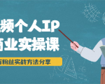 短视频个人IP商业实操课,百万粉丝实战方法分享,小白也能实现流量变现-网赚项目众筹网