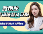 微创业全能训练营认证班课程，从理论知识与实际案例手把手指导创业新手如何从零到有-网赚项目众筹网