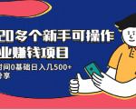 20多个新手可操作的副业赚钱项目:业余时间0基础日入几500+实操分享-网赚项目众筹网