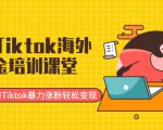 最新Tiktok海外掘金培训课堂:带你玩转Tiktok暴力涨粉轻松变现-网赚项目众筹网