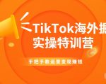 TikTok海外掘金实操特训营:手把手教运营变现赚钱-网赚项目众筹网