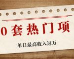30套热门项目:单日最高收入过万 (网赚项目、朋友圈、涨粉套路、抖音、快手)等-网赚项目众筹网