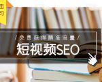未来新趋势,布局短视频SEO,如何利用抖音SEO免费获得精准流量(3节课)-网赚项目众筹网