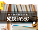 未来新趋势,布局短视频SEO,如何利用抖音SEO免费获得精准流量(3节课)-网赚项目众筹网
